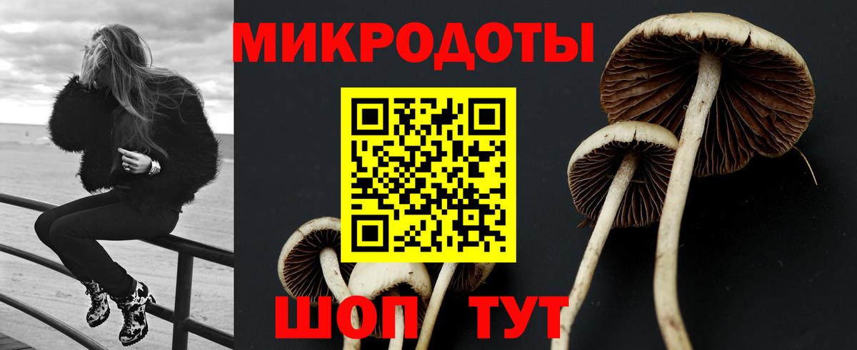Псилоцибиновые грибы MAGIC MUSHROOMS  Вход с VPN  Черногорск 